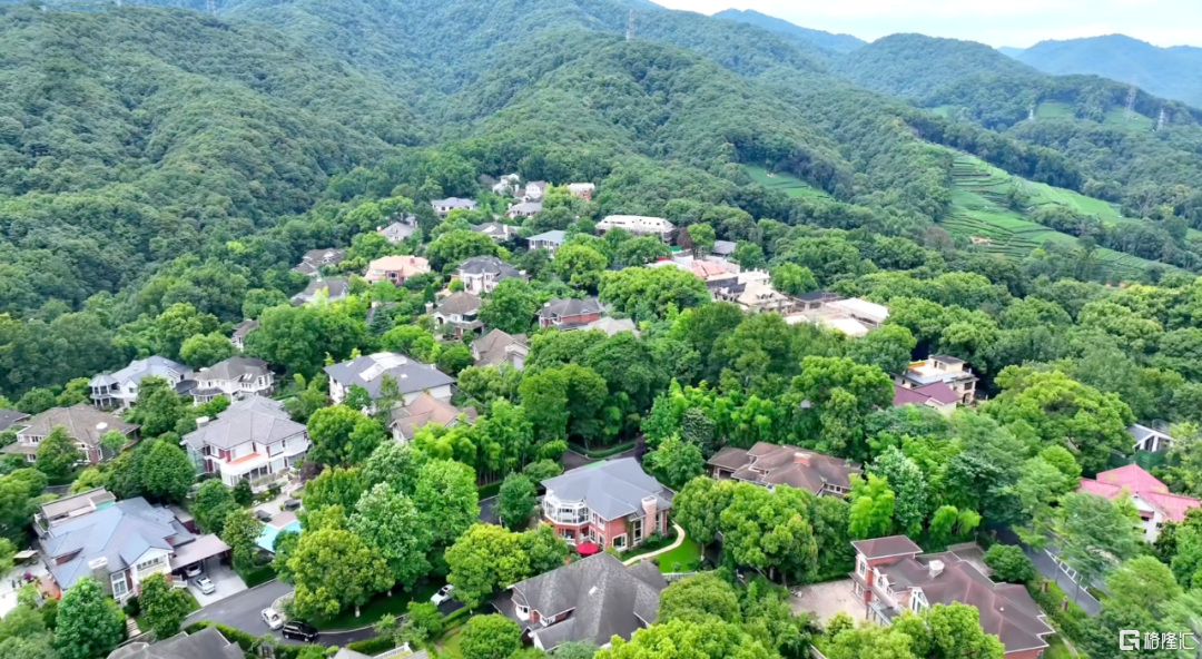 最近杭州二手市场，热闹得有点过分