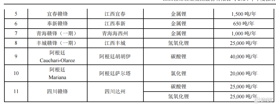 上市后首亏！赣锋锂业2024年亏损超20亿，锂价暴跌成致命伤