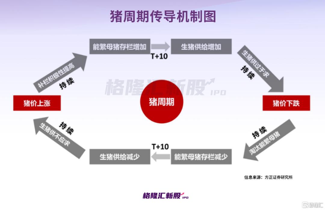 60后夫妻回乡养猪，成为河南首富，传牧原股份将赴港二次上市