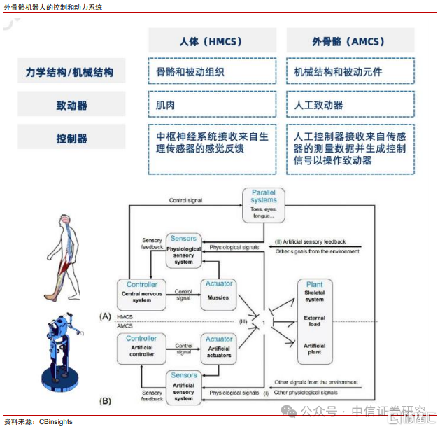 中信证券：外骨骼机器人落地场景丰富，市场空间广阔