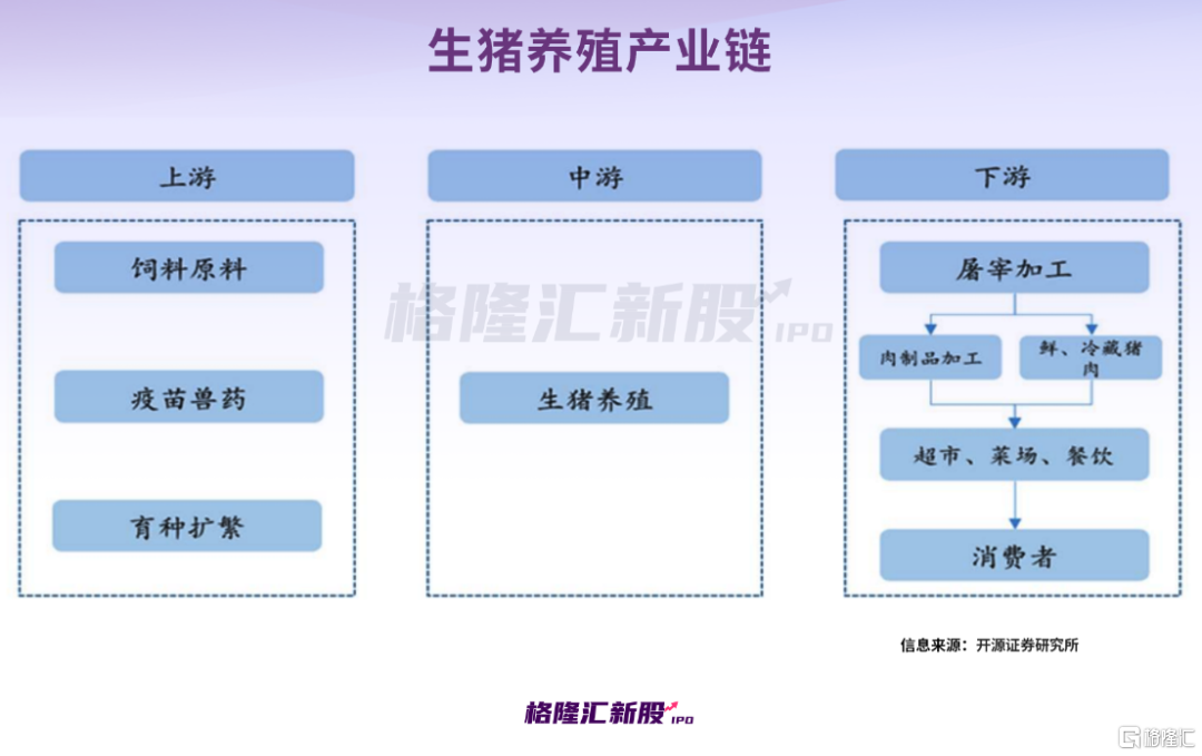 60后夫妻回乡养猪，成为河南首富，传牧原股份将赴港二次上市
