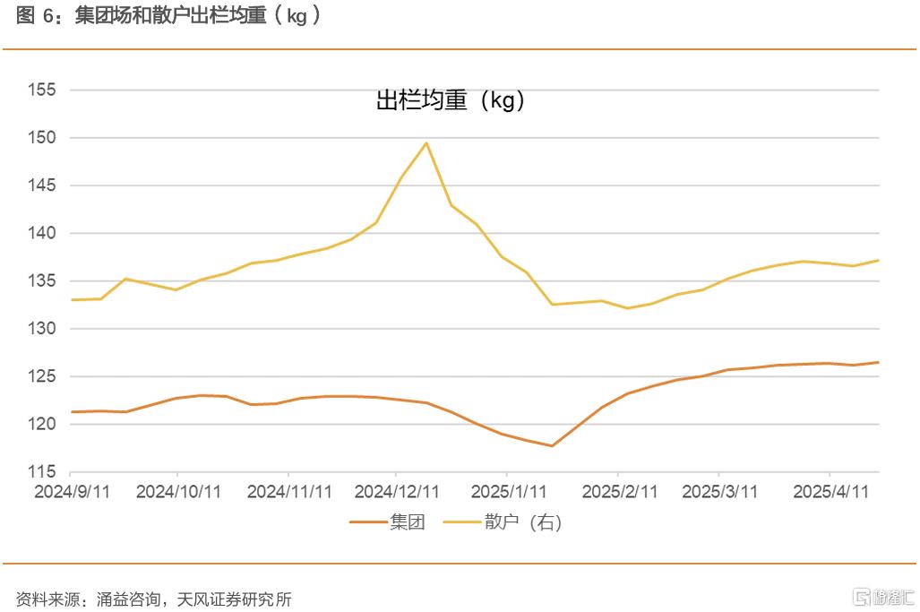 如何看待当前时点压栏、二育行为？
