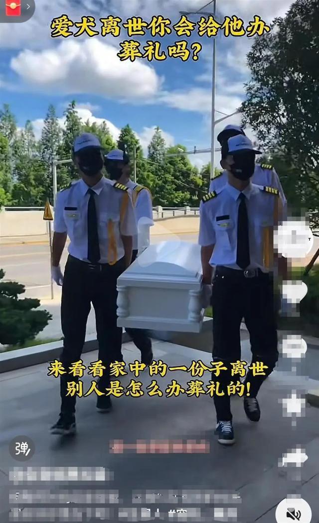 宠物殡葬行业井喷墓地超万元 宠物成家庭重要成员