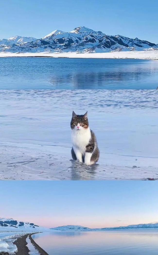 赵朔在冰天雪地捡到悟空的时候，已经给悟空找到冰箱了
