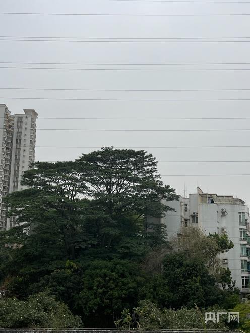 广东多地发布灰霾黄色预警 沙尘暴来袭引发热议