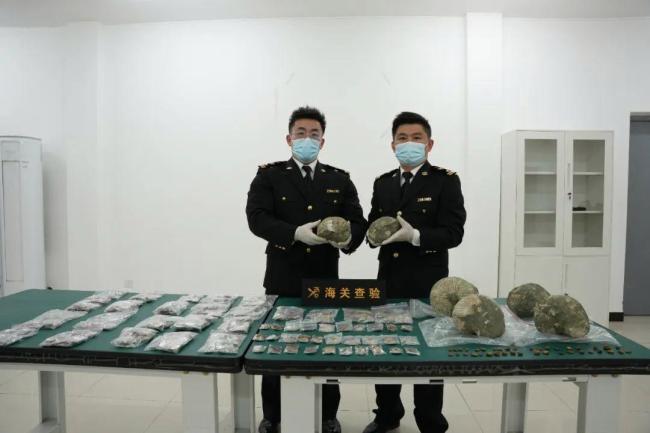 冒充玻璃摆件，海关在出口快件渠道查获2366件古生物化石