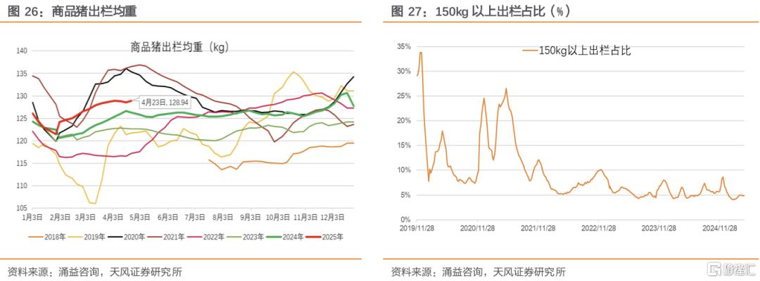 如何看待当前时点压栏、二育行为？