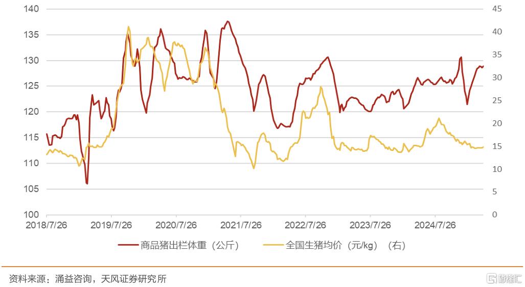 如何看待当前时点压栏、二育行为？