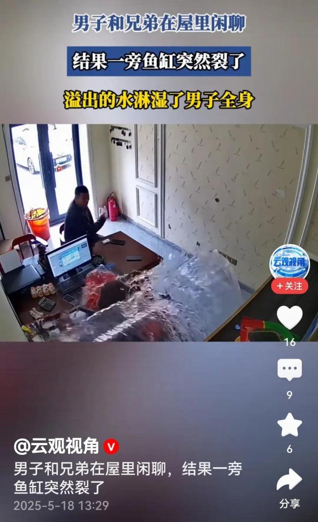 男子和兄弟闲聊鱼缸突然裂了 湿身惊喜引发狼狈一幕