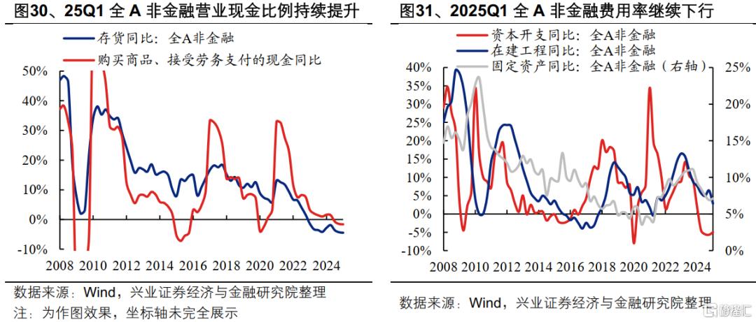 2025年一季报和2024年报有哪些看点？