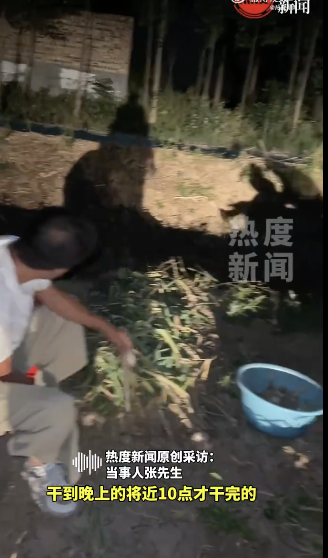 妻子离世后男子坚持照顾岳母 人间难事显真情