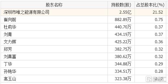 房二代“跨界”玩坏“光伏第一股”，2亿股股权将被司法拍卖​