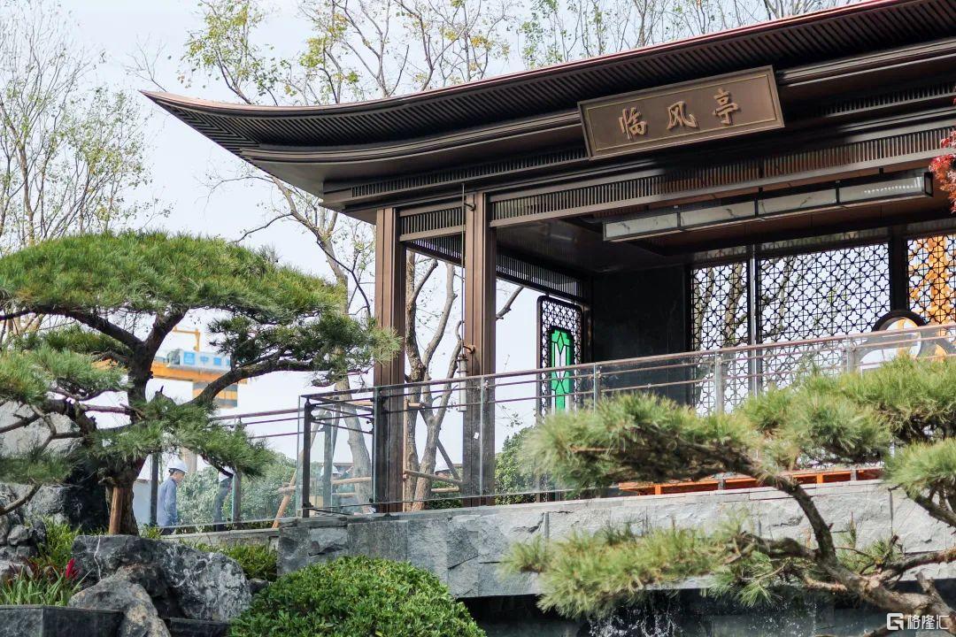 央行重磅宣布，楼市沸腾！超强黑马，直接“封神”
