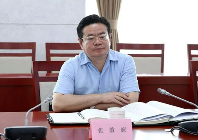 张效廉，被逮捕！“官迷心窍、利令智昏”