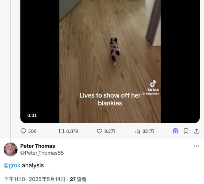 Grok居然从小猪视频读出了“南非白人种族灭绝”？
