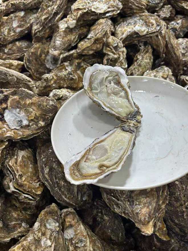 抢微波炉热饭，是打工人的世界大战