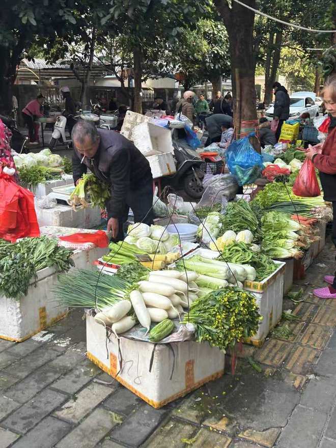 抢微波炉热饭，是打工人的世界大战