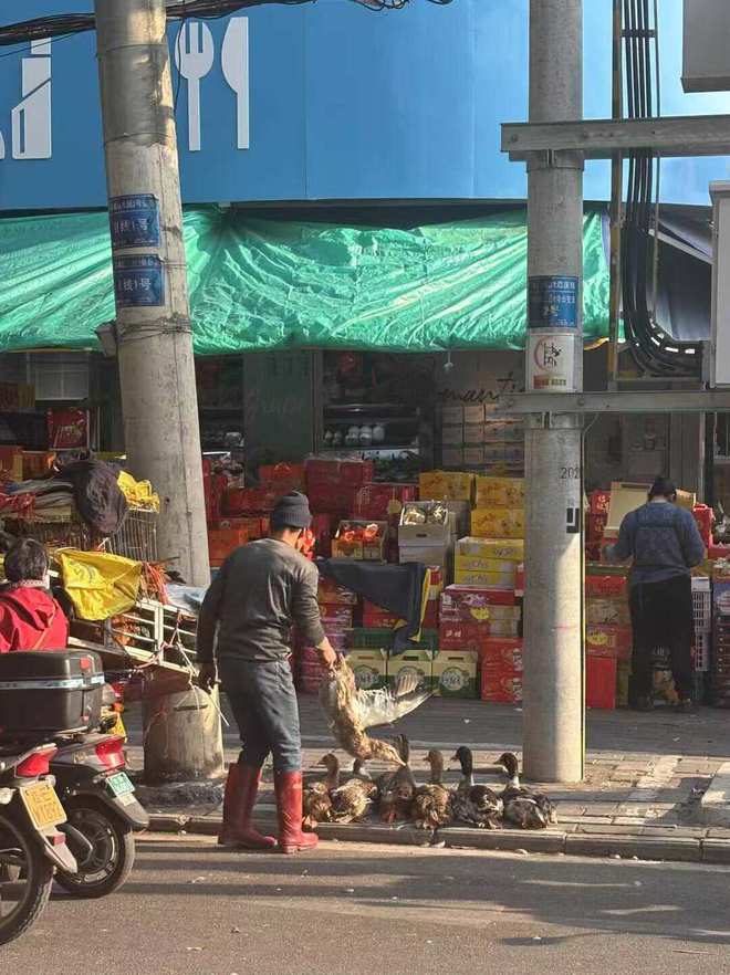 抢微波炉热饭，是打工人的世界大战
