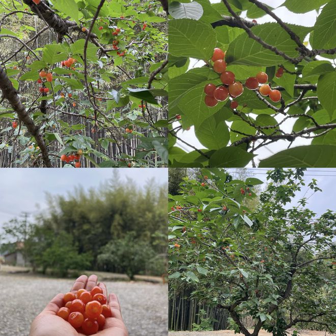 给Manus七分钟，它可以做什么