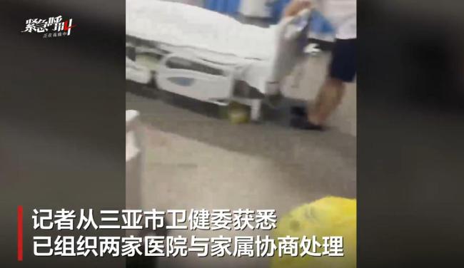 三亚被蛇咬伤致死女子伤口曝光 家属质疑医院误诊延误治疗