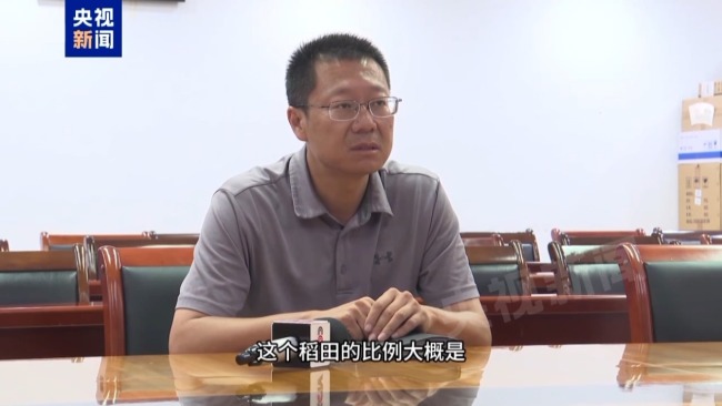 记者追踪安徽蚌埠秧苗成批死亡真相 沟渠水被污染记者追踪安徽蚌埠秧苗成批死亡真相 沟渠水被污染