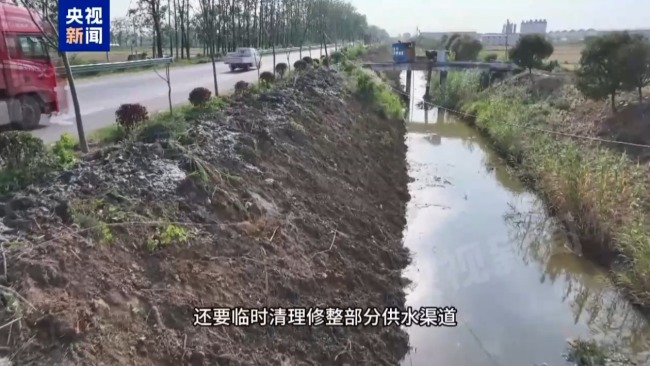 记者追踪安徽蚌埠秧苗成批死亡真相 沟渠水被污染记者追踪安徽蚌埠秧苗成批死亡真相 沟渠水被污染