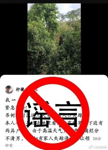 云南警方辟谣“果树下现两具尸体”