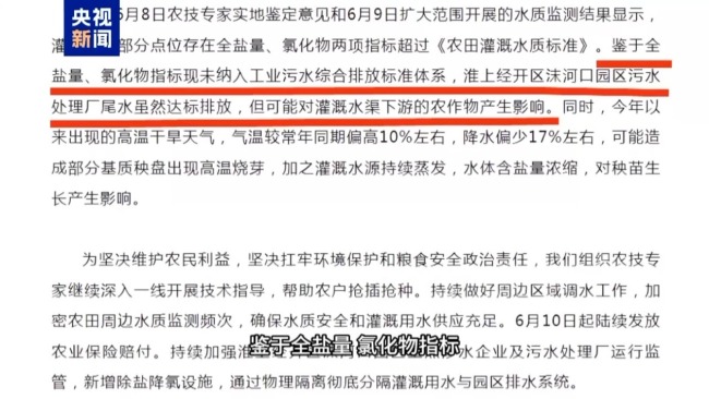 记者追踪安徽蚌埠秧苗成批死亡真相 沟渠水被污染记者追踪安徽蚌埠秧苗成批死亡真相 沟渠水被污染