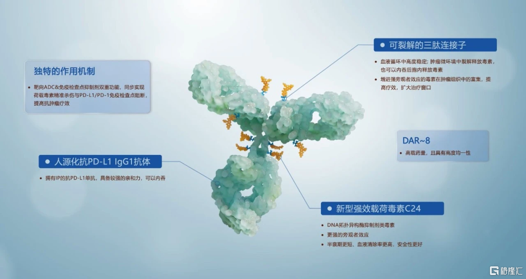 广谱ADC，得天下