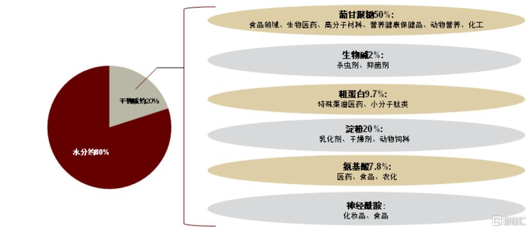 休闲食品：魔芋品类空间广阔