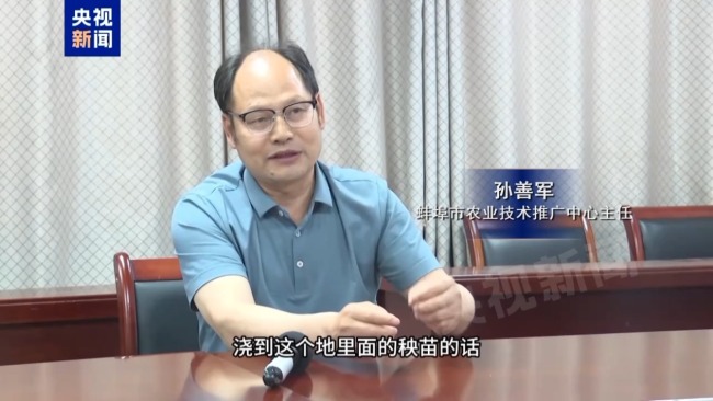 记者追踪安徽蚌埠秧苗成批死亡真相 沟渠水被污染记者追踪安徽蚌埠秧苗成批死亡真相 沟渠水被污染