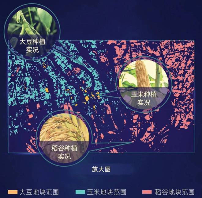 未来十年，小微企业标配AI CFO？