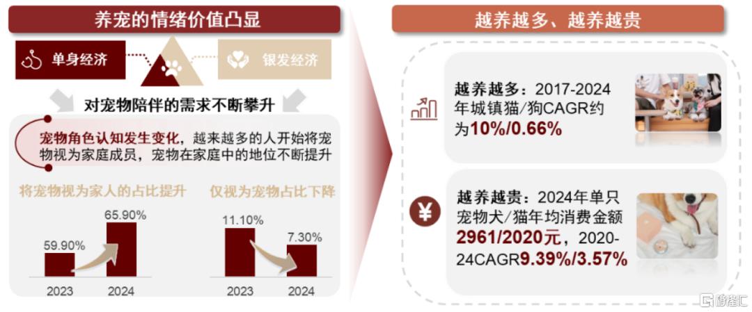 中金：解码新消费