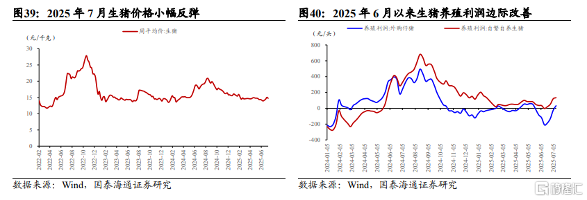 中报前瞻：科技与部分周期改善日渐明朗