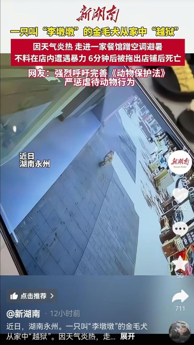金毛在餐馆蹭空调避暑遭殴打致死