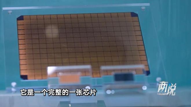 从AI到BI：当人工智能遇见大脑 丨两说
