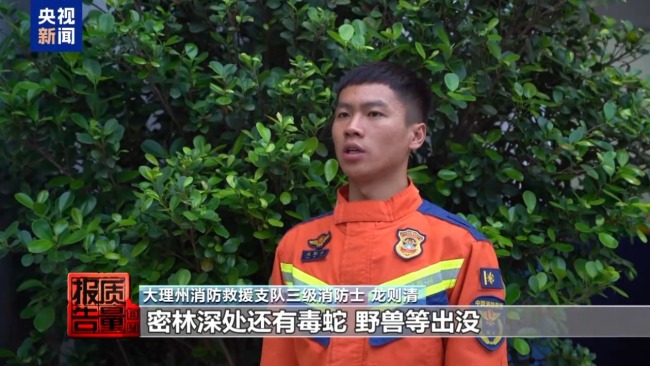 云南大理“采菌游”爆火 无序采摘已引发多起警情云南大理“采菌游”爆火 无序采摘已引发多起警情