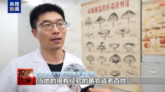 云南大理“采菌游”爆火 无序采摘已引发多起警情云南大理“采菌游”爆火 无序采摘已引发多起警情