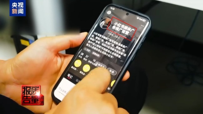 云南大理“采菌游”爆火 无序采摘已引发多起警情云南大理“采菌游”爆火 无序采摘已引发多起警情