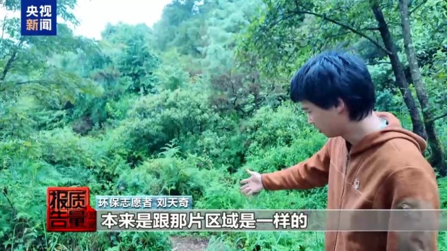 云南大理“采菌游”爆火 无序采摘已引发多起警情云南大理“采菌游”爆火 无序采摘已引发多起警情