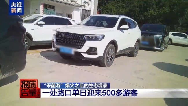 云南大理“采菌游”爆火 无序采摘已引发多起警情云南大理“采菌游”爆火 无序采摘已引发多起警情