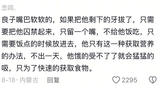良子的400斤大胃袋，装不下他的七宗罪