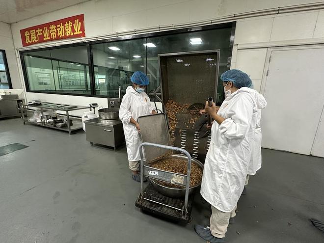 莎车人造钻石产能破10亿将建全球领先生产基地，上海助农项目农户收入翻番
